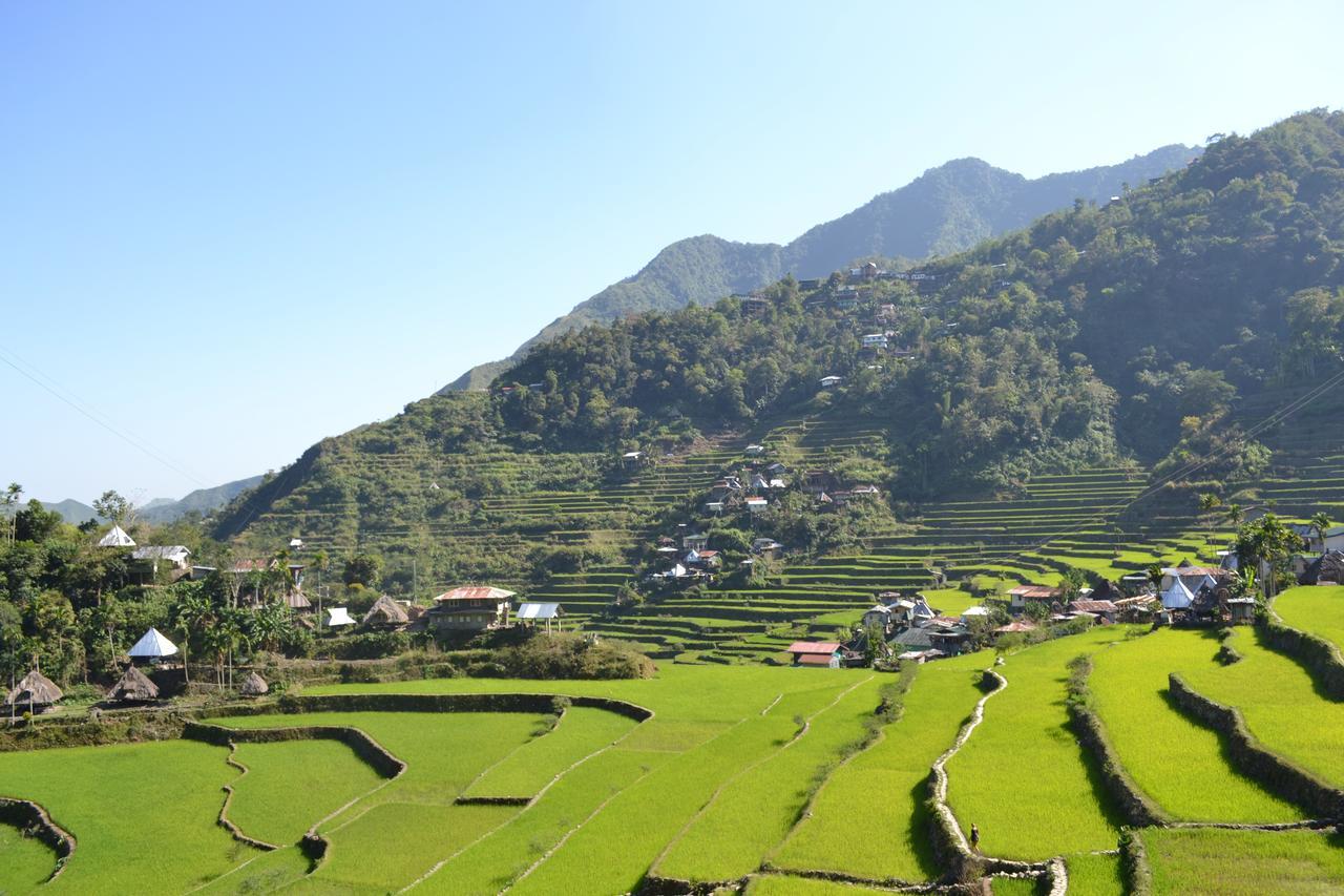 Batad View Inn And Restaurant Banaue Exteriér fotografie
