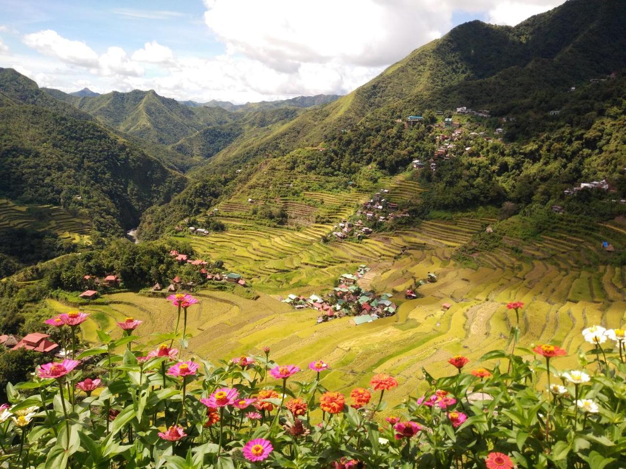 Batad View Inn And Restaurant Banaue Exteriér fotografie